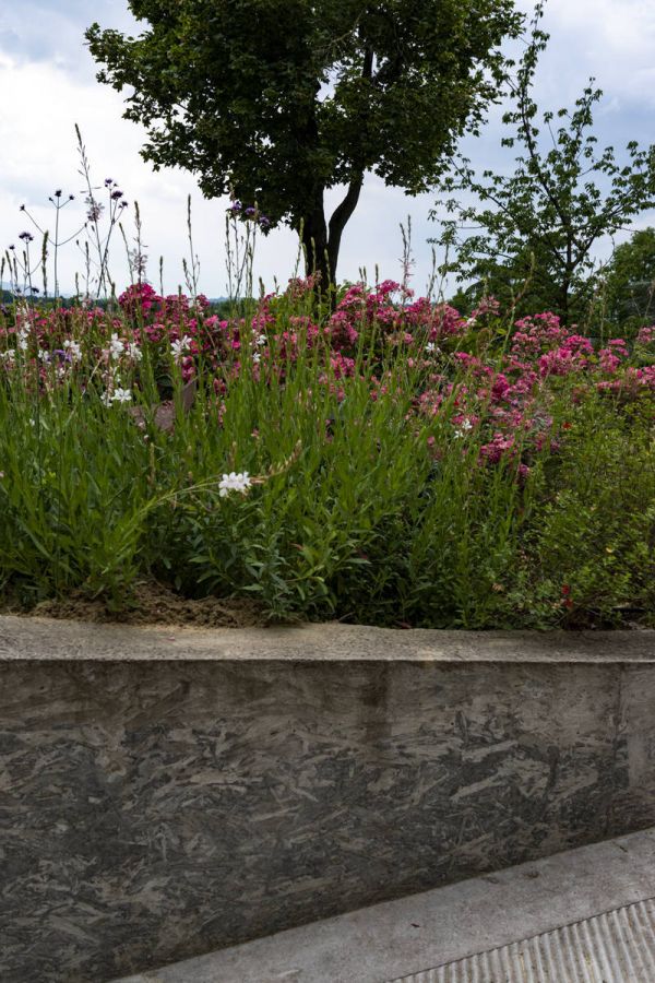 dsc-40631353B404-4E31-62A6-A639-4CE791439C2B.jpg