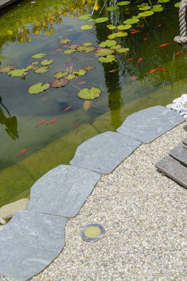 dsc-4799FEAF5595-E0DE-33F1-ADC3-D0D272250C5A.jpg