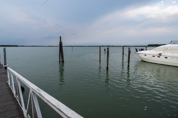 dsc-6653252A3ECB-7E05-E5CE-09A4-FDDA59AD3D72.jpg